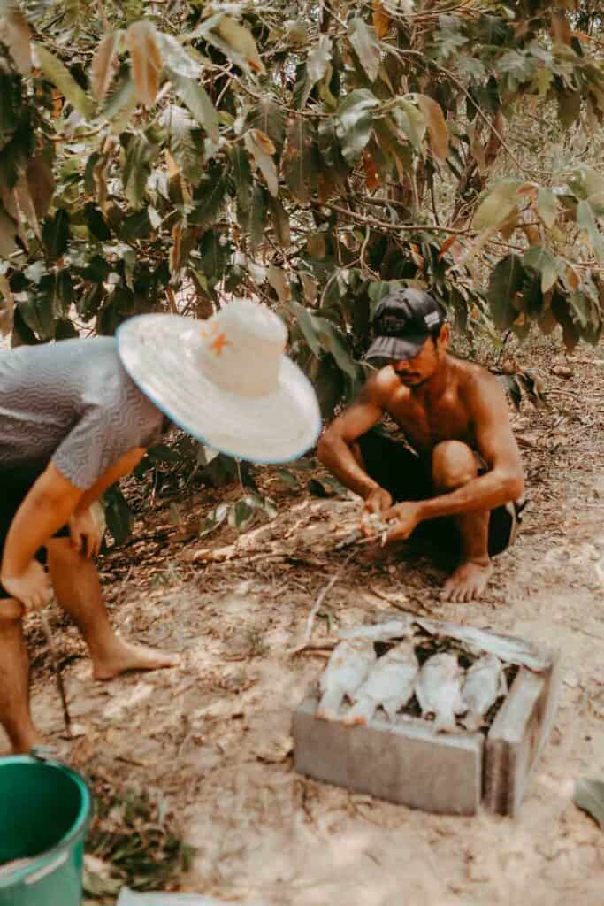 A thai man in Isaan grilling salted fish.