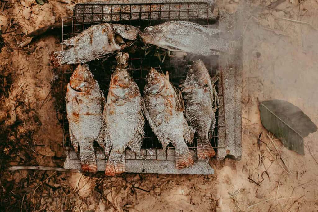 Grilled fish on  charcoal blocks.