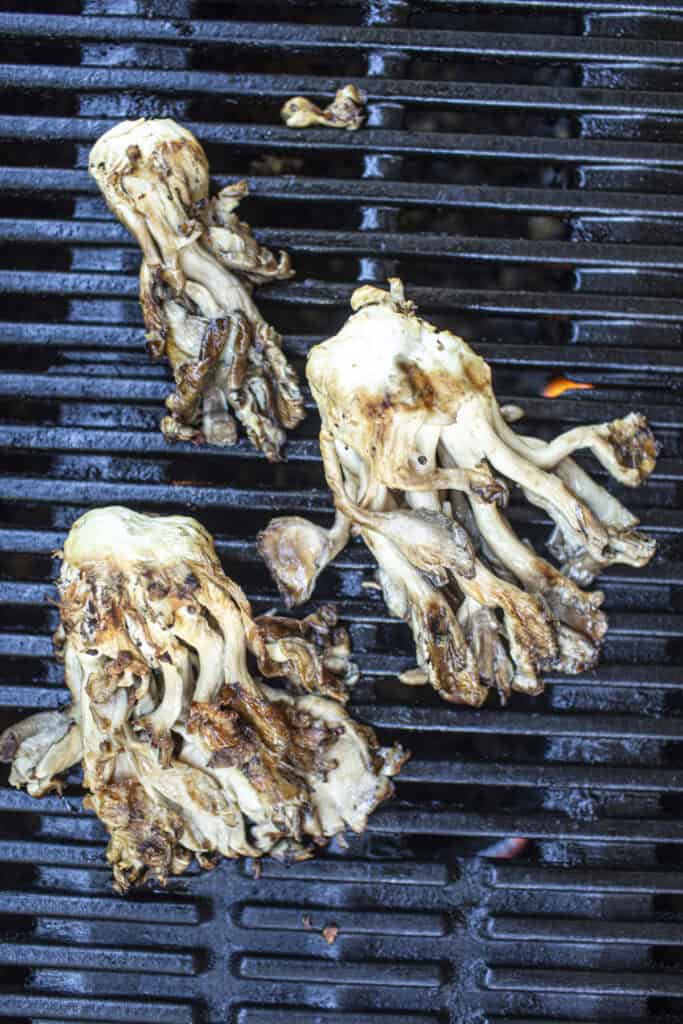 Oyster mushrooms on a grill.
