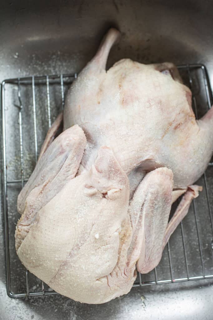 Whole duck in a sink covered with salt.