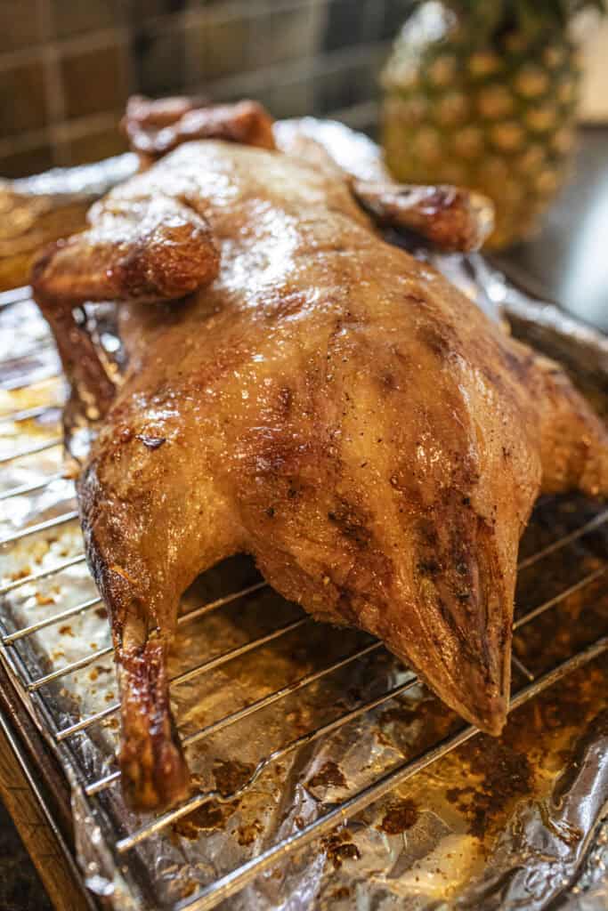whole roasted duck on a rack over a pan. 