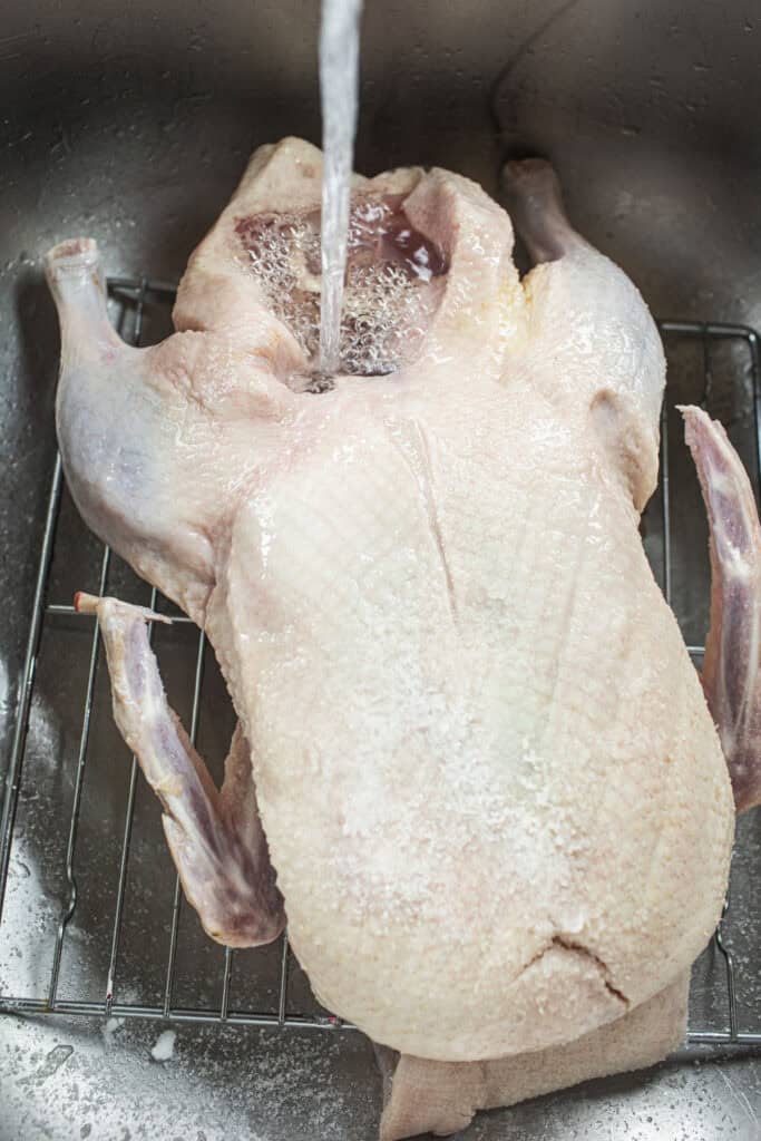 Water from a faucet rinsing Whole duck in a sink.