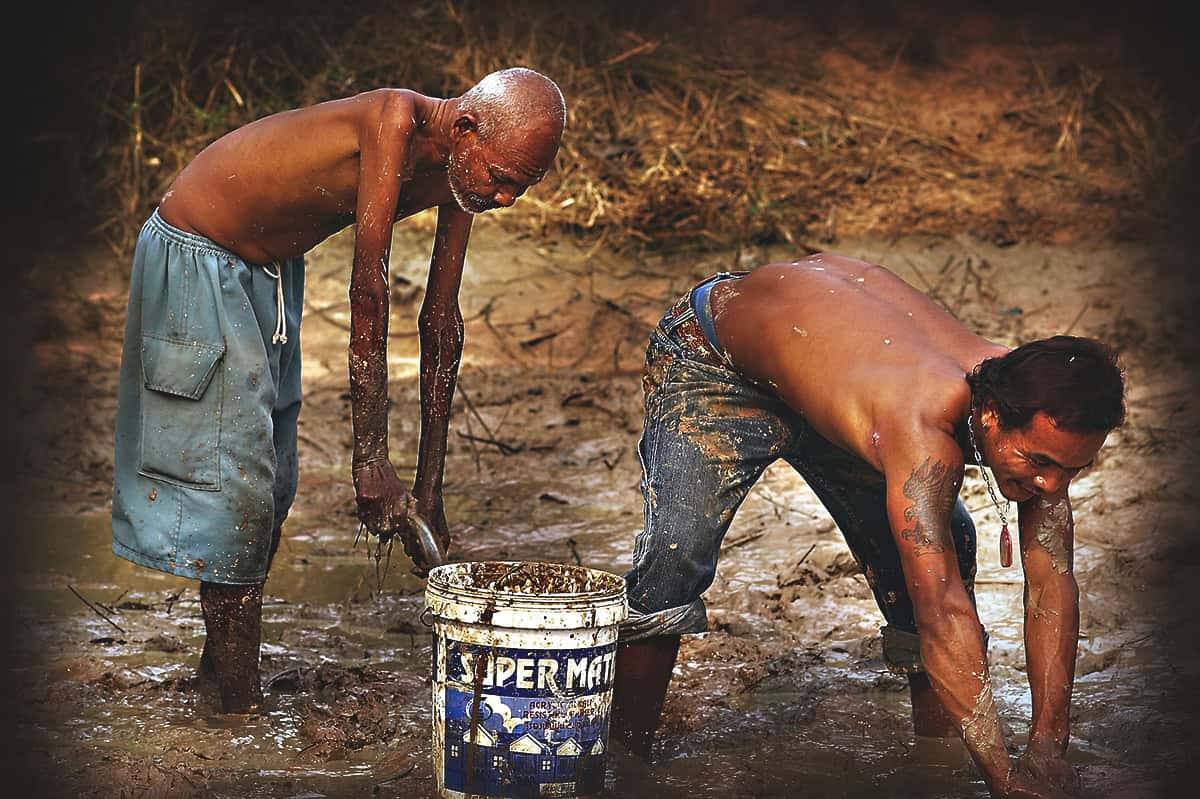 two men bending over to catch fish in the mud.