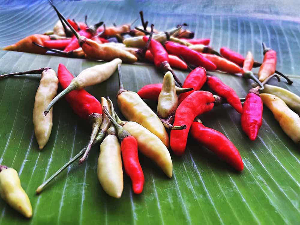 Thai prik kee noo soun on banana leaves.
