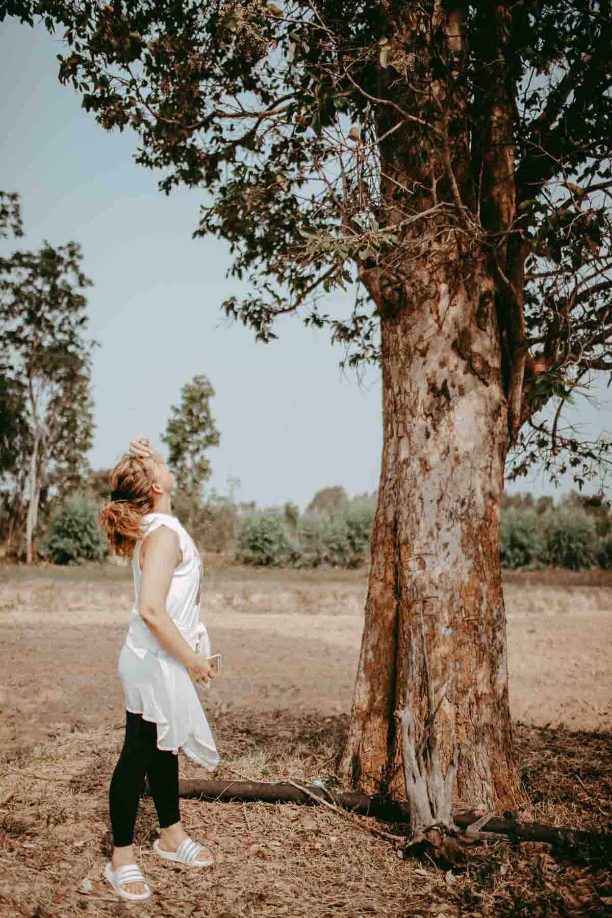 Suwanee gazing at isaan almond tree in field in thailand. 