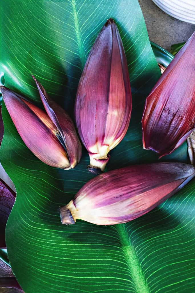 Whole banana blossoms laid out on a large green banana leaf, showing their deep purple outer petals and natural beauty before prep.
