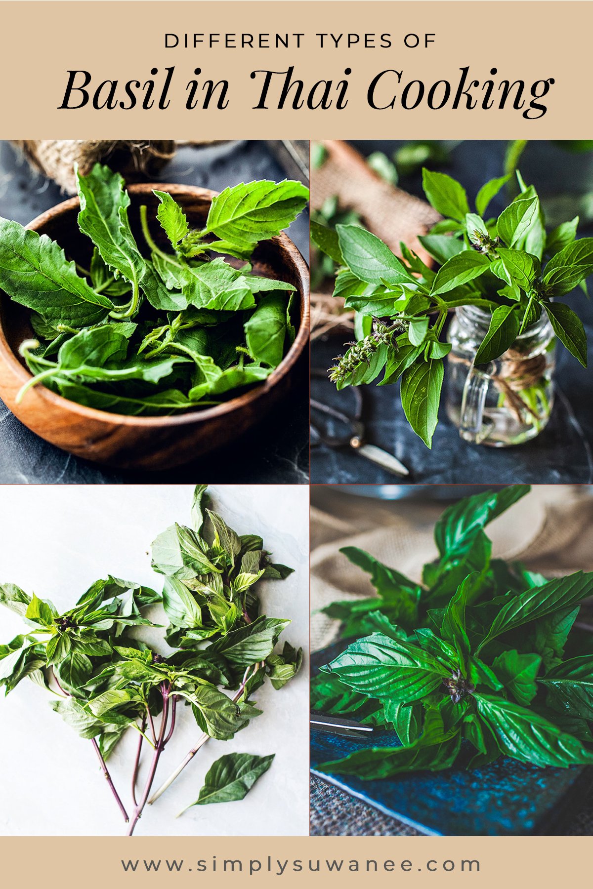 4 image collage of basil leaves with text overlay that reads different types of basil in thai cooking.