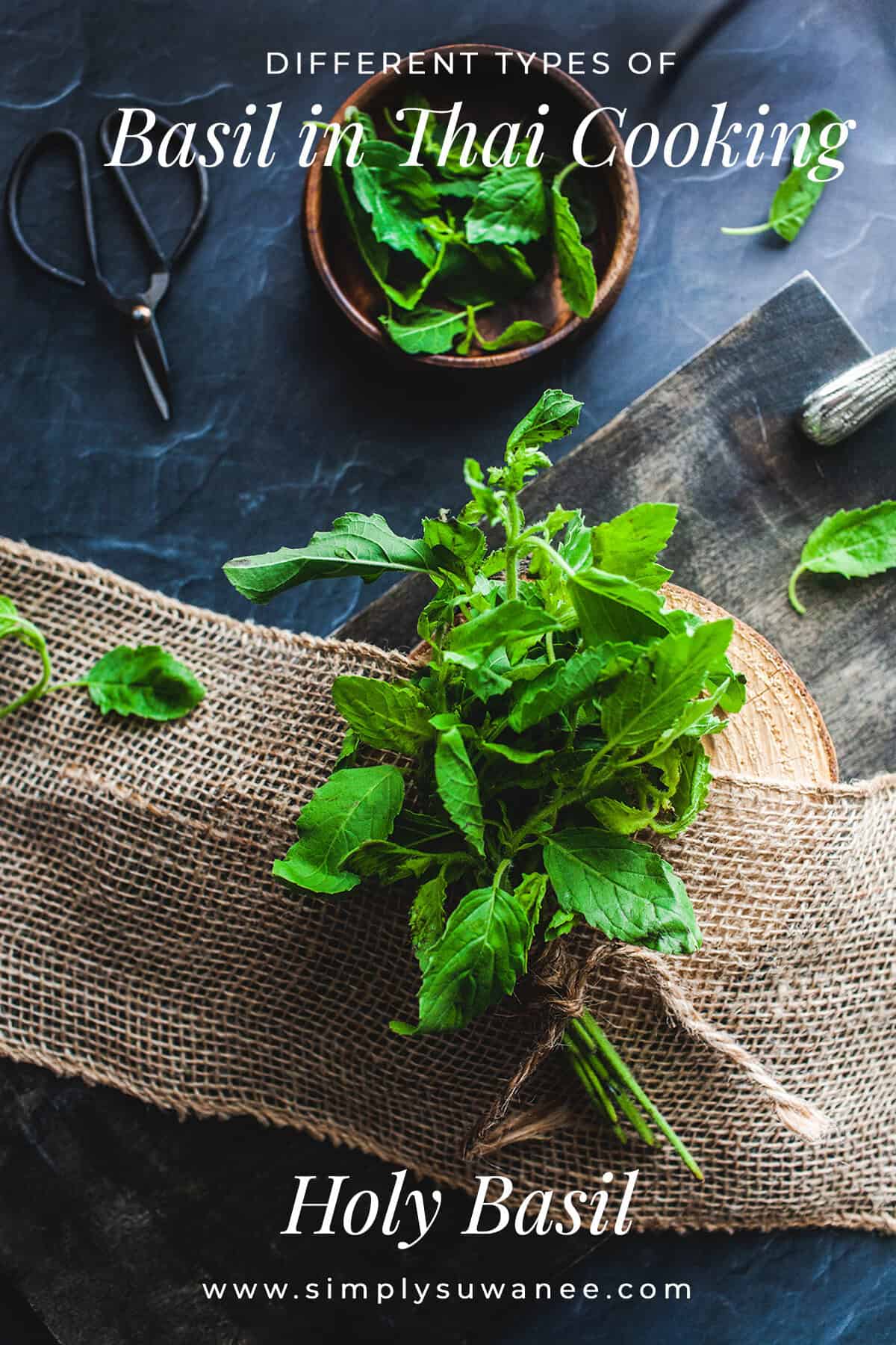 Holy basil plants on a cloth over a tray with text overlay that reads different types of basil in thai cooking, holy basil. 