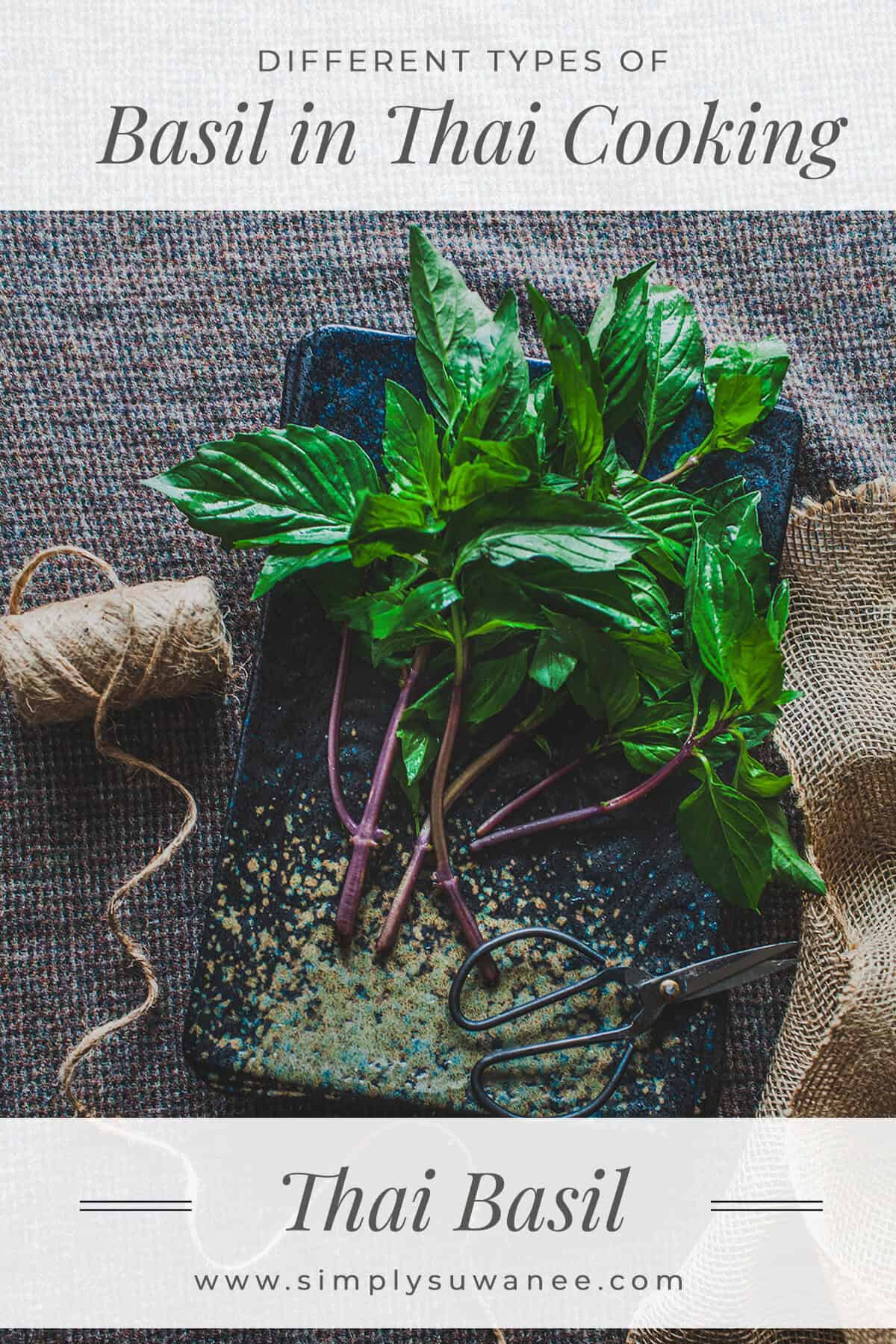 Thai basil plants on a tray with text overlay that reads different types of basil in thai cooking, Thai basil. 