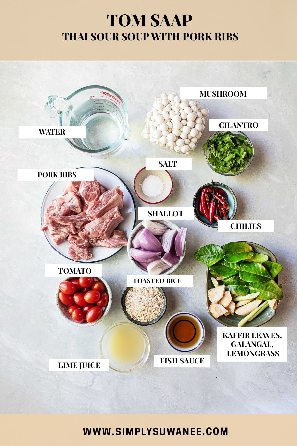 Ingredients for tradtional Tom Saap recipe on the table with text labeling each item. 