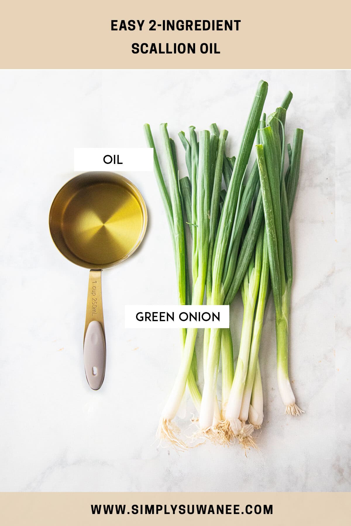 Labeled ingredients of oil and green onions on a table. 