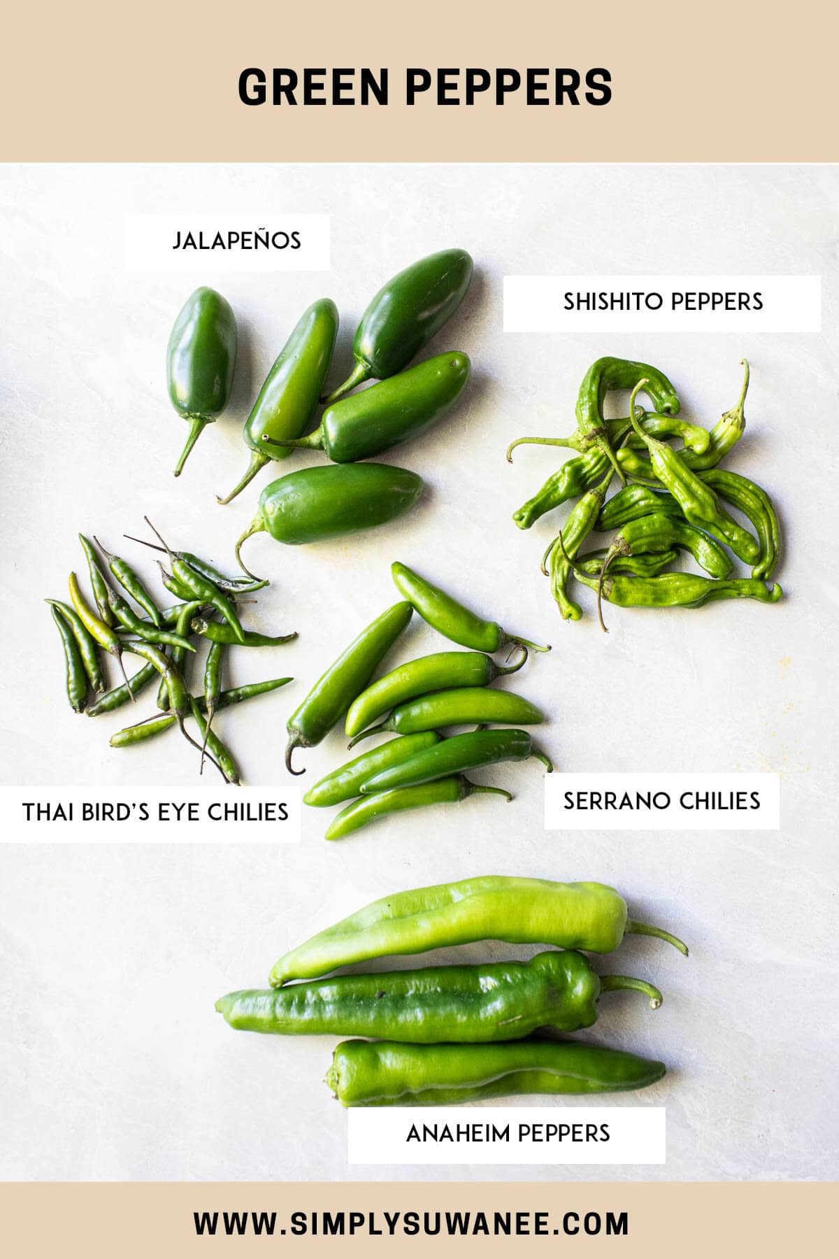 Different types of green chilies labeled and grouped on the table.