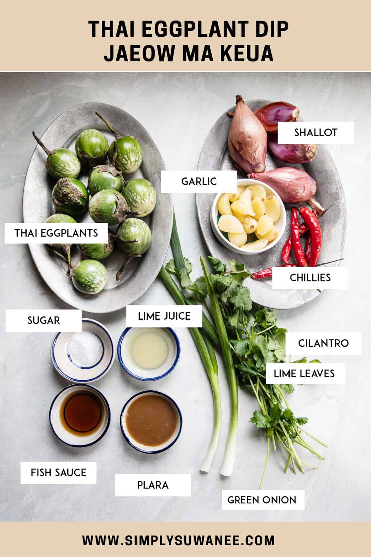 Labeled ingredients for Thai eggplant dip on a table. 