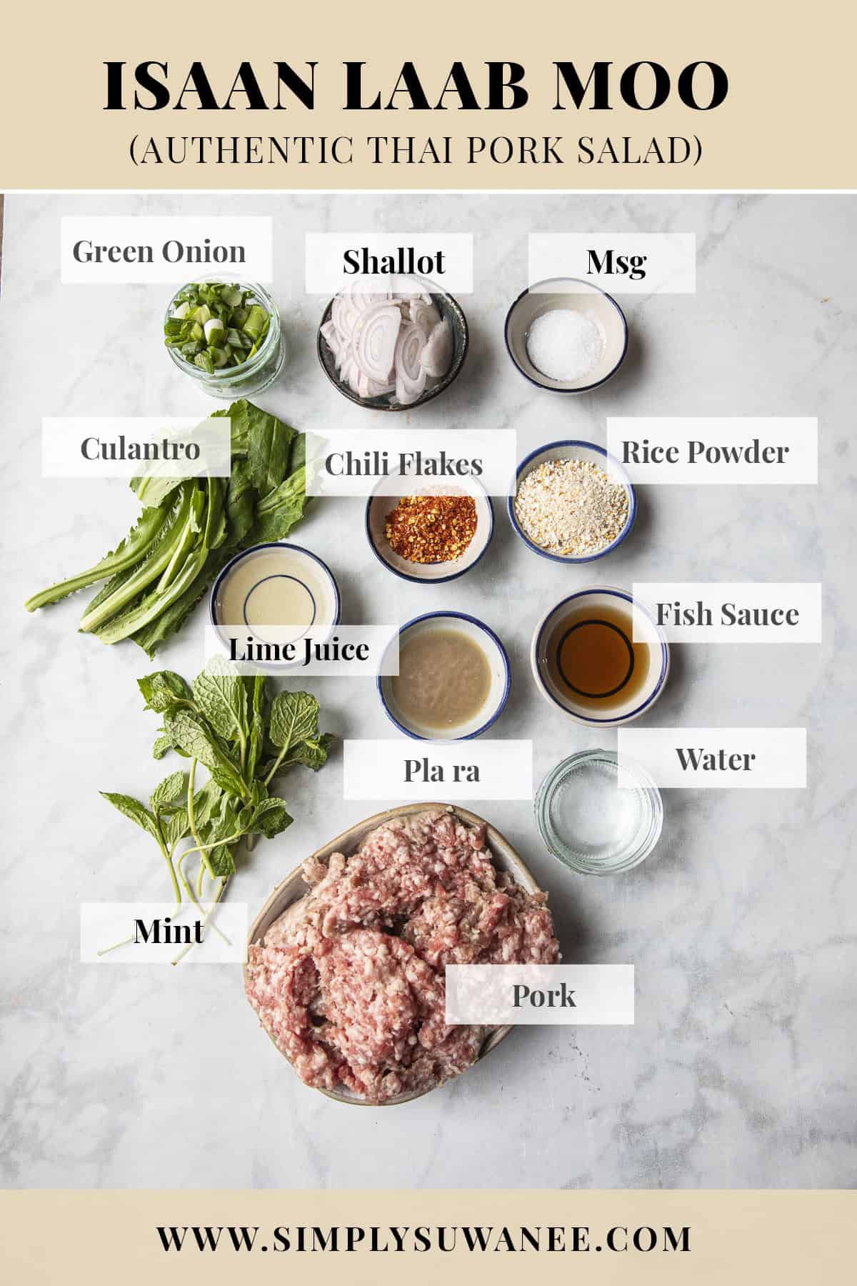 labeled Ingredient list for laab moo salad on a table.