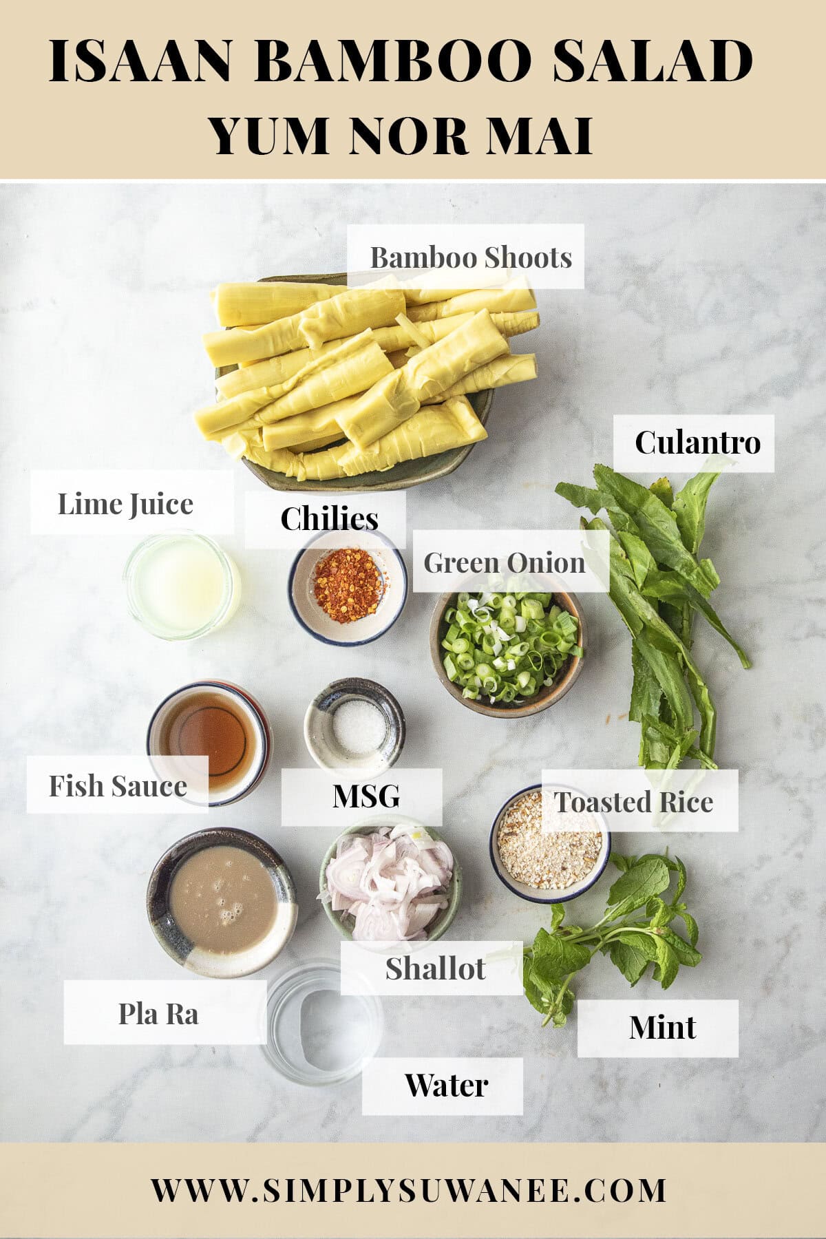 Labeled ingredients for isaan bamboo shoot salad soop nor mai.