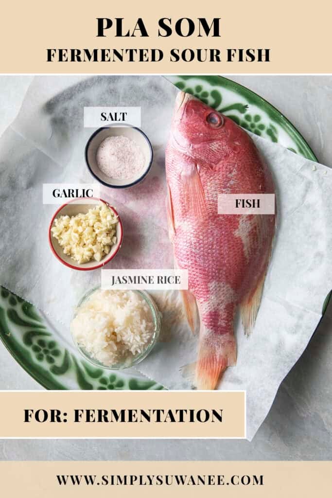 Pla Som fermentation ingredients including whole fish, jasmine rice, garlic, and salt arranged on a platter.