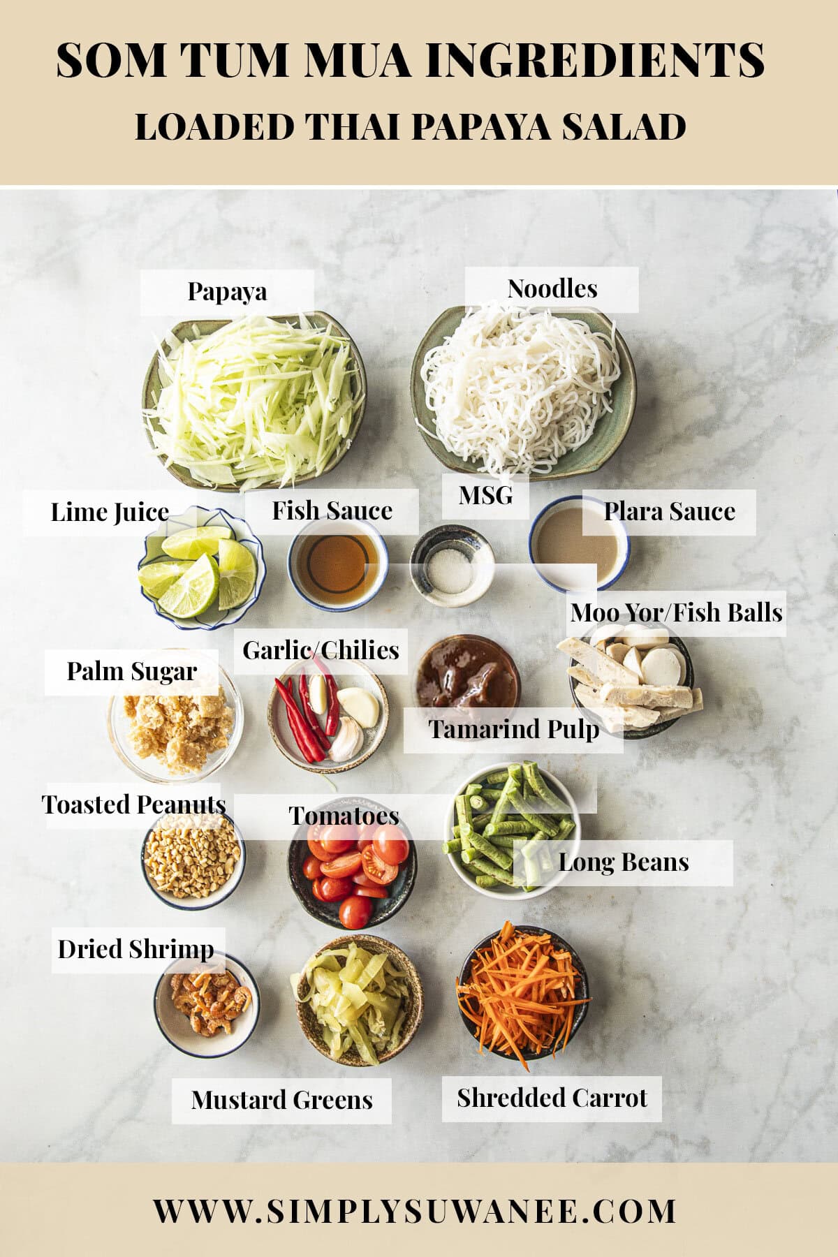 Som Tum Mua ingredients including shredded green papaya, rice noodles, lime juice, fish sauce, pla ra, long beans, tomatoes, peanuts, and dried shrimp.