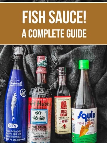 Popular fish sauce brands including Squid Brand, Megachef, and Three Crabs for Thai cooking.