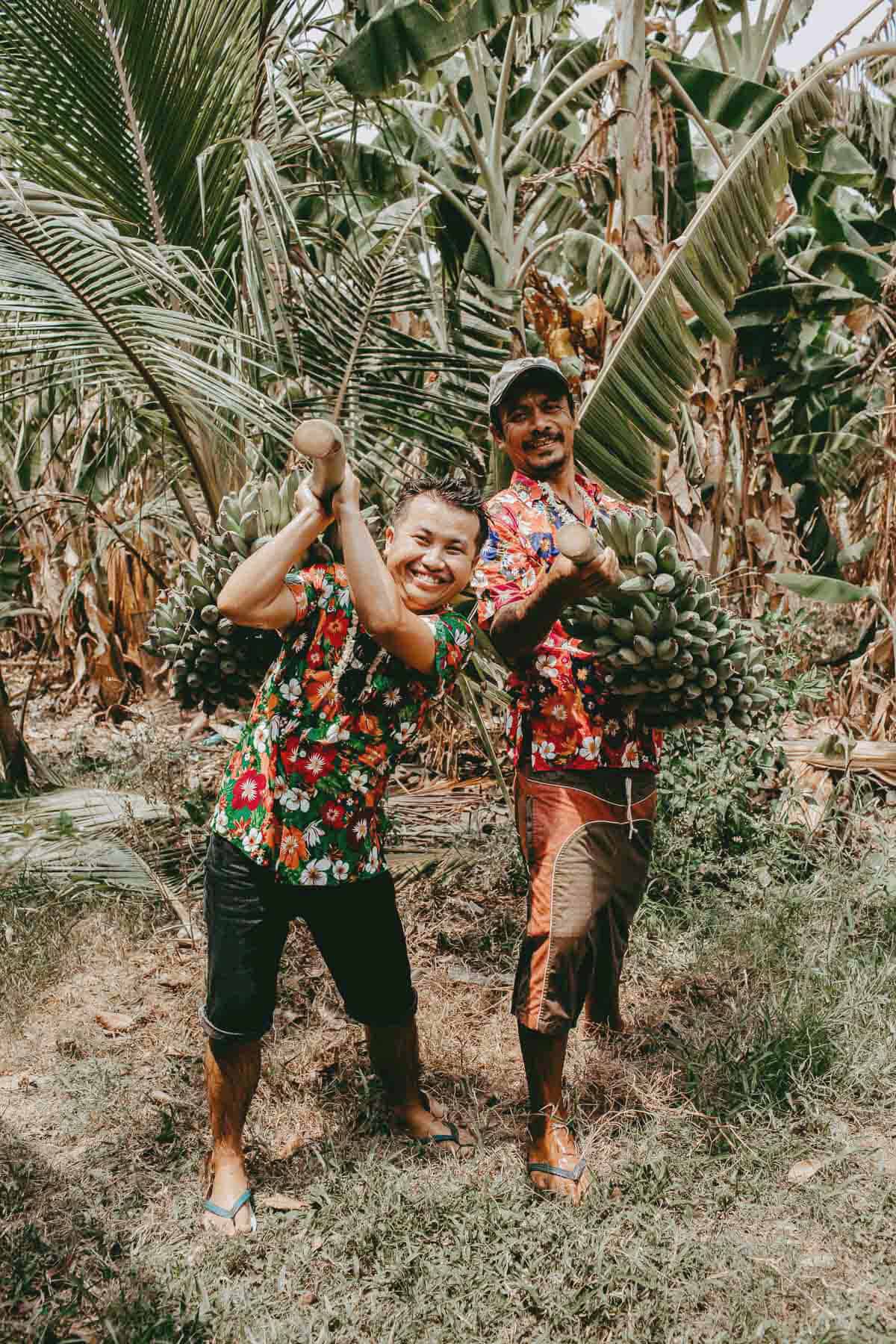 Thai men carrying Nam Wa bananas in Surin farm in Thailand.