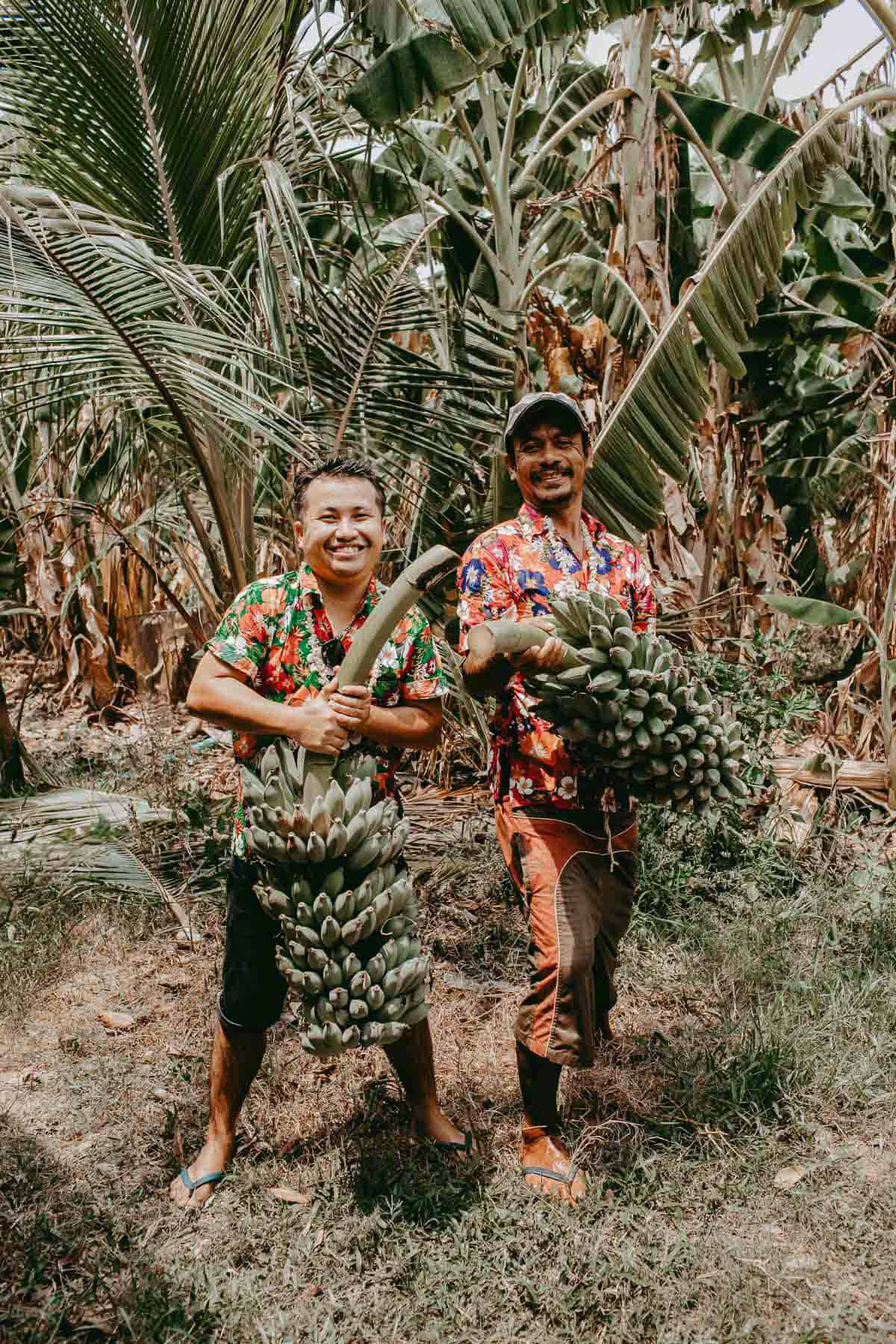 Thai men carrying Nam Wa bananas in banana farm in Thailand.